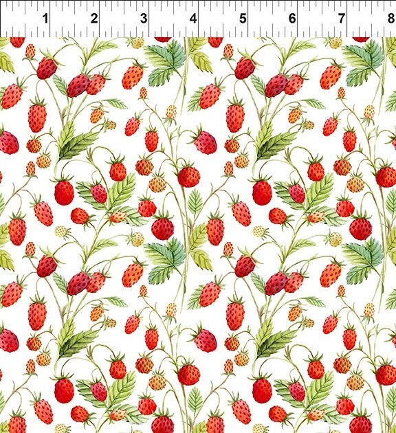 Wild Strawberries “Hedgehog Hollow” Fabric BY THE HALF YARD In the Beginning