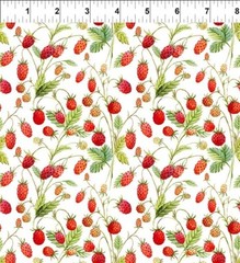 Wild Strawberries “Hedgehog Hollow” Fabric BY THE HALF YARD In the Beginning