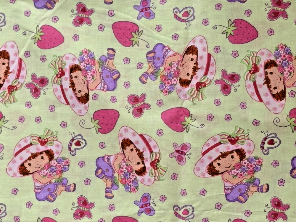 VINTAGE 2004 Strawberry Shortcake Berries & Flowers – BTFQ: 18″ x 22″