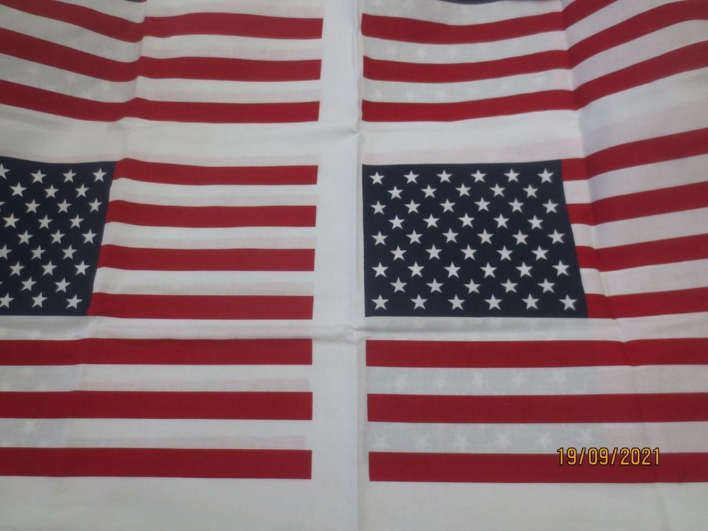 Daisy Kingdom 6 USA Flags # 4378 cotton panel makes 6 flags 11.5 x16 inches