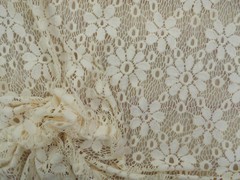 Embroidered Stretch Lace Apparel Fabric Sheer Floral Cream TT400