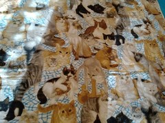 Fabric CAT’S MEOW ALLOVER #1872 Daisy Kingdom Cotton Kittens 44″ x 102″