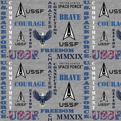 Space Force Graphs Words -43 Inches Wide By The Yard (BTY)