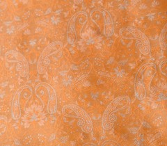 Sushila Vintage Banarasi Woven Scrap Saree Pure Satin silk Orange Sari Fabric