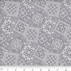 Bandana Paisley Dove Gray Fabric