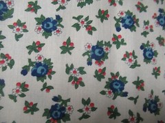Cranston Print Works Schwartz Liebman Tan W/Blue Red Floral VTG SBTYX 44 NEW