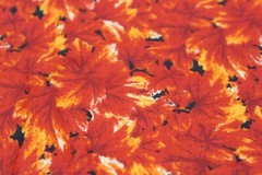1930s Reproduction Fabric Cotton Quilt RED Hues Tiny Flowers 42×1/2 yd CHOICE
