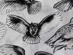 BROTHER SISTER FABRIC~Blk White~SKETCHED OWLS~Snowy~Great Horned~Barn~Screech~