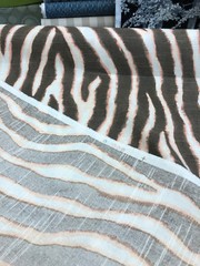 Zany Zebra Blush Drapery Upholstery Ronnie Gold Home Accent Fabric By The Yard