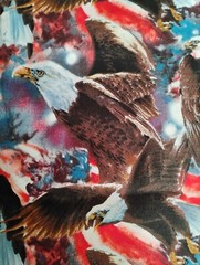 Wild Wings & Janene Grende Bald Eagle America Fabric 3 Yards 108″ X 42″