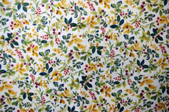 Red Rooster The Quilters Kitchen Collection plants 1/4 yard 100% cotton fabric
