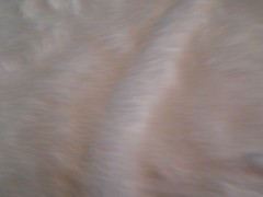 White Long Pile Faux Fur – 30″ wide ~sold by the 1/2 yard