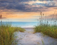 35″ Digital Fabric Panel – David Textiles Aqua Seas at Dune Beach Sunrise Scene