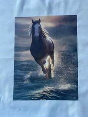 2 Beautiful Horse QUILT Block SEWING Square FABRIC Running In Water RUSTIC #2