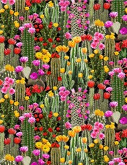 Cactus in Bloom – Timeless Treasures fabric – Cacti & Flowers WEST C6178