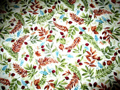 Fabric Red Rooster “Nature’s Sketchbook” Bird Nest Binoculars Ferns Ducks $4.95