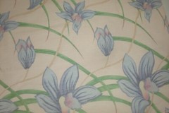 5 yds Stunning Designer Fabric Leilani Blush Orchids print Cotton Drapery 54″w