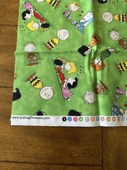 Peanuts Comics Characters Fabric Print: 18 1/4” x 43 1/2”