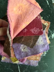 Amazon Rainforesr Plant dyed fabric swatches cotton cloth natural