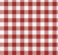 The Pioneer Woman Charming Check Plaid Fleece Fabric Red 2 Yards Christmas New