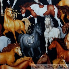 BonEful FABRIC FQ Cotton Quilt Black Brown White Lg Equestrian Horse Riding Show