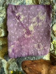 Amazon Rainforesr Plant dyed fabric swatches cotton cloth natural