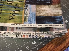 Urban Winter by Stephanie Brandenburg of Camelot Cotton for Quilt w/ pattern
