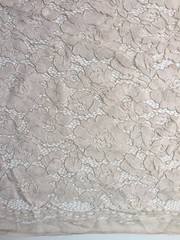 Summer BEIGE Floral Pattern Double Dyed Flat Lace on Mesh Fabric by the Yard –