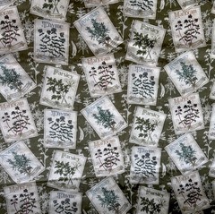 Herb Garden Kate Ward Thacker Seed Packets Sage Green Cotton Fabric BTHY #59