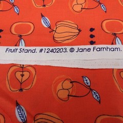 Jane Farnham for Camelot Fabrics Fruit Stand Orange Modern Print 18″ x 44″ Quilt