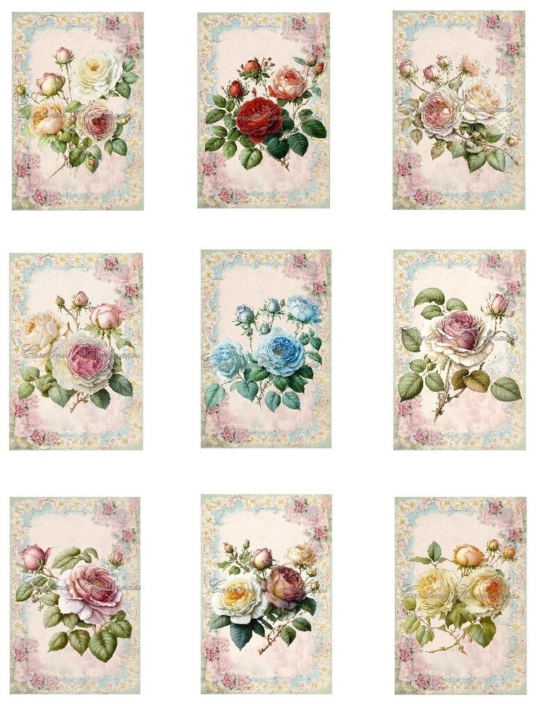 Beautiful Rose Florals MULTI-SIZE SET Cotton Fabric Quilt Blocks Reproduction