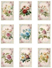 Beautiful Rose Florals MULTI-SIZE SET Cotton Fabric Quilt Blocks Reproduction