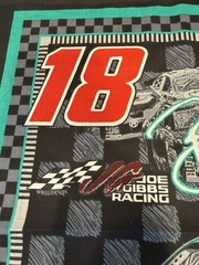 Nascar Bobby Labonte #18 Interstate Batteries Cotton Fabric 6 Design Panels