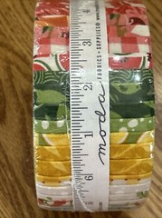 Fruit Loop Jelly Roll by BasicGrey for Moda Fabrics