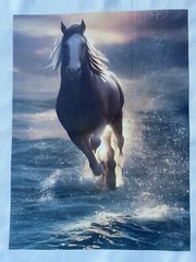 2 Beautiful Horse QUILT Block SEWING Square FABRIC Running In Water RUSTIC #2