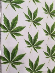 Cannabis, weed, pot, 420, on very light blue, premium cotton, $8 yd