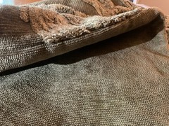 Pottery Barn Sage Green 22 inch Pillow Shams (2) a PAIR