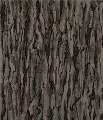 Wood TREE BARK GRAY BROWN Nature Landscape Texture Fabric By the FQ – 1/4 YD