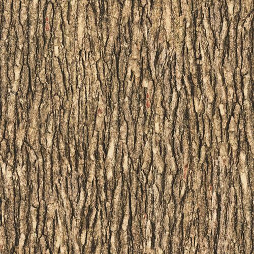 Open Air By Quilting Treasures – Medium Brown Bark #28112-AC