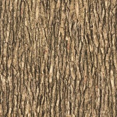 Open Air By Quilting Treasures – Medium Brown Bark #28112-AC