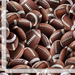 Sports Fabric | Fitness Fanatic Packed Football Brown | Timeless Treasures YARD