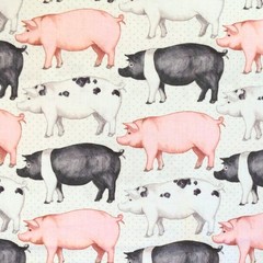 Feline Drive Fabric RISE ‘N SHINE Farm Fresh Pigs White Fat Quarter (18″x22″) FQ