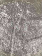 Sedona Designz 100% Panne Velvet Velour Fabric by The Yard, 60 Inches Wide