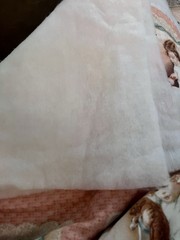VTG Bessie Pease Gutmann Flannel Panel Four 10”x12” w/ Poly Batting 21½” x23½”