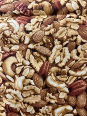 Snack Attack Nuts Food FQ (26” x 22”) Kanvas Cotton Fabric – New