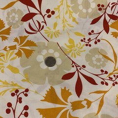 “Fresh Aire” Fabric By BJ Lantz For Studio E Floral & Plaid 2 Pc Fat Quarter Lot