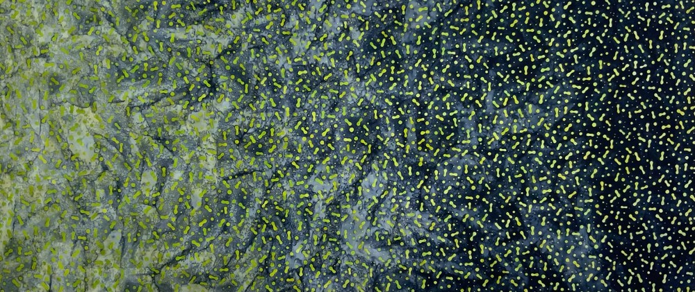 1 Yard Cut of Lunn Fabric Cell Division Ombre Batik 100% Cotton 4129 Chartreuse