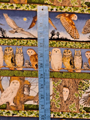 Owl border Makower UK realistic many owl species great colors 32″l x 25″ w +