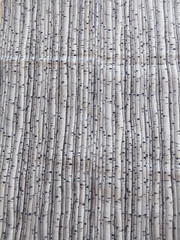 ASPEN TREES, BARK – 12 1/2″ X 48″ – COTTON FABRIC – Washed