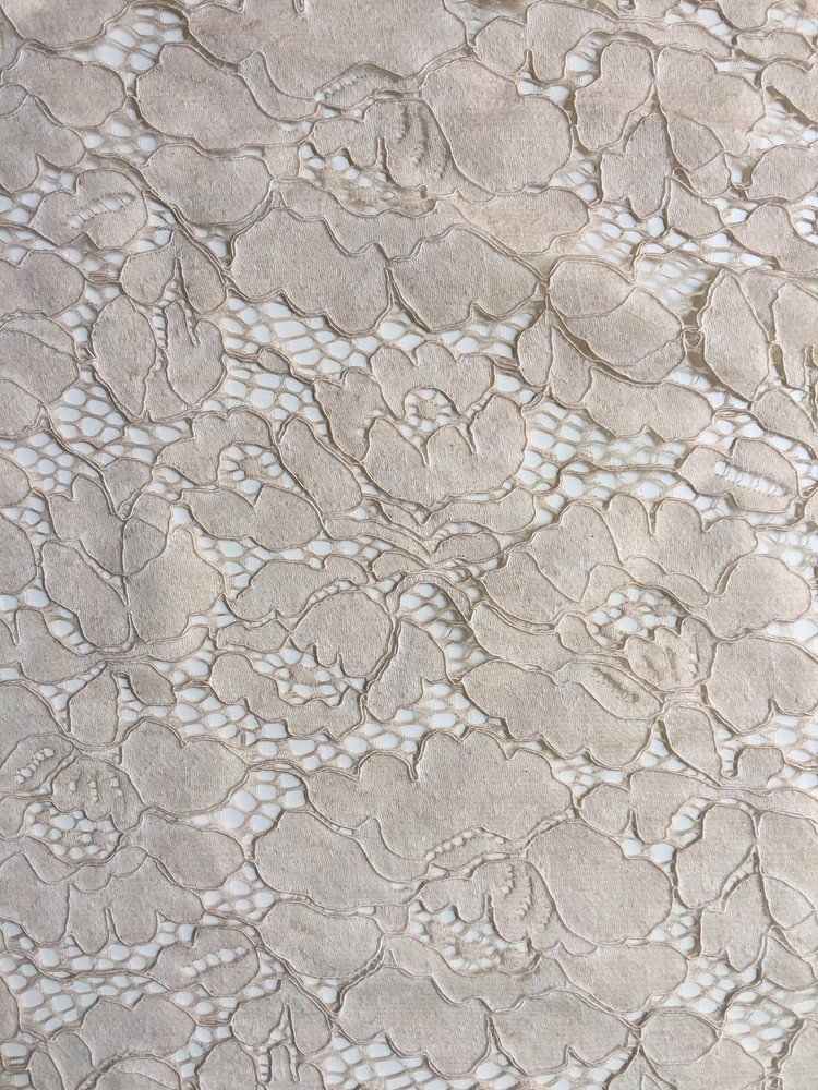 Summer BEIGE Floral Pattern Double Dyed Flat Lace on Mesh Fabric by the Yard –